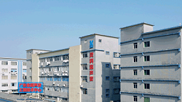 靈科超聲波：共舞職場新生態(tài)，賦能員工價值成長